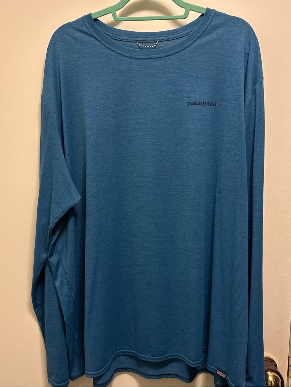 Patagonia Men's Teal Blue Long-Sleeve Crew Shirt